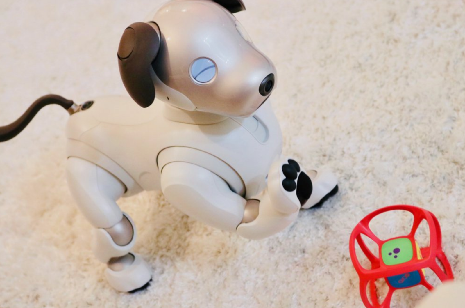 Gifter - מתנות לכל אירוע לבן Dice ERA 1022 for Sony Aibo ERS 1000 two pieces Robot Dog TOY Japan cute play
